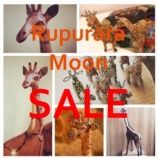 ��7ǯ�ܤ�Rupurara Moon�⿷�������Ƥ����ޤ����٤β���