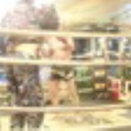 あなたの道場♪「あこう堂」日記