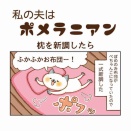 枕を新調したら