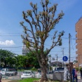 弓道に向いてそうな大和市内の駅はど〜こだ？【やまとなぞなぞ】