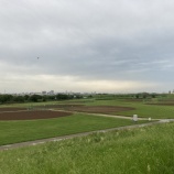 『昨晩の雨の影響によりグラウンド変更があります』の画像