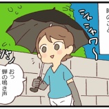 『関東人が、西側の蝉にうけた洗礼。』の画像