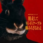 はじめてのうさぎ