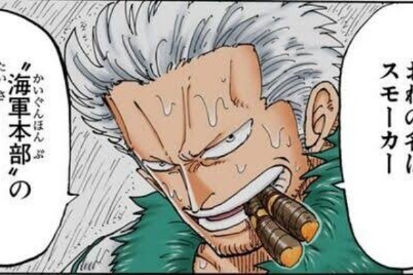 ワンピース ロギア系最強種のなかに 雑魚の実が一つだけ混じってるよな アニメ わかり速報