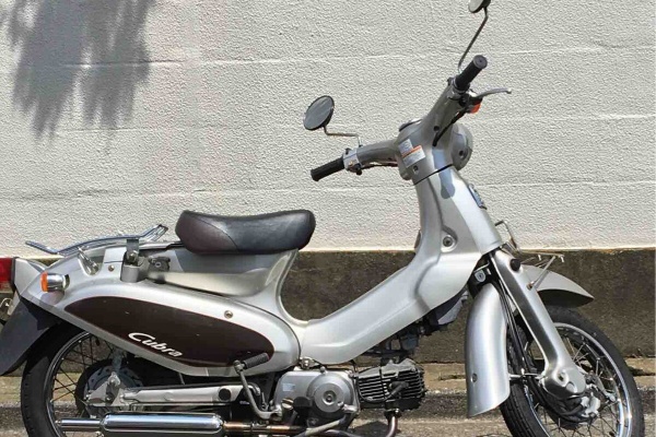 わたしの記録 リトルカブ 過去記事 わたしの記録 リトルカブ 過去記事