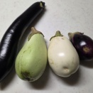 茄子大尽