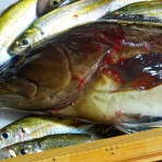 橋を渡ると、そこは･･･。No3 淡路島をぶらぶら