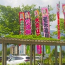 7月場所、部屋別団体戦の勝率1位は、伊勢ヶ浜部屋