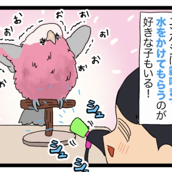 【霧吹きスタイル】鳥さんの水浴び、やめ時がわからなくなる