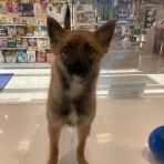新潟県長岡市　ワンラブ　長岡リナシエKITAMACHI店blog