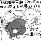 我が家のスネ夫