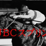 『盛岡11R/ＪＢＣスプリント(Jpn1)予想』の画像