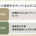 借耕牛　牛はどのようにして集められていたか