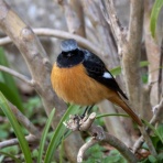 あまり見ないでください by sacchou