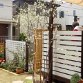 シンクロニシティー（原田邸 8）