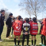 『戸島!』の画像