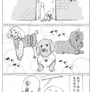 うちの犬のルカ。【６６】
