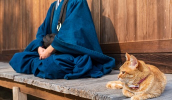 坊さんだけど質問ある?