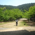 阿波箸蔵寺ＮＯ９　土佐から移築された山門（大門）を起点に玉垣の参道が整備された