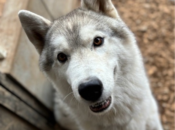 ちょっと寂しいワンワンパラダイス😅