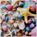 感動的に綺麗で高精細なフルカラープリントのクールタオルのオリジナル生産🌞💦2026.01.08