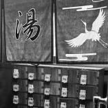 『今年はちょっと違うのでは　vol.4322』の画像