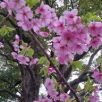 ニュース逆さ読み