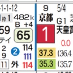 ハイブリッド競馬新聞