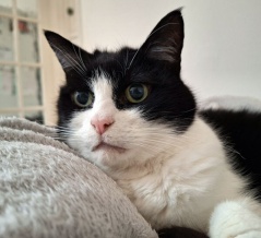 消えたゴミ箱。