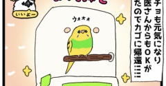 【さっぱり】鳥カゴをピカピカにしましたょ✨