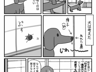 障子破く犬