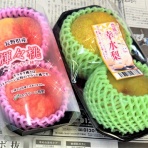 新聞は永久に不滅です！ オーナー編