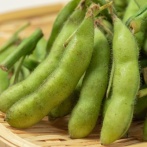 1袋300円で黒埼茶豆詰め放題！？中央区東堀前通『加島屋本店』で『規格外黒埼茶豆の詰め放題』開催！8月18日、25日。