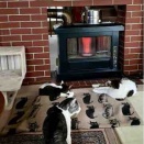 きこりのテレビ日記　＃274