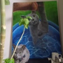 猫まみれ