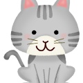 【画像】世界最大の猫、お前らの想像の3倍デカイｗｗｗｗｗｗｗｗｗｗｗｗｗｗｗｗ