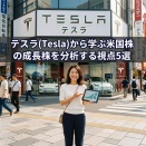 テスラ(Tesla)から学ぶ米国株の成長株を分析する視点5選etc...