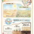 【図解】雨が少ない地域ではどんな景観をしているの？