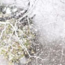 １２月６日の武道教育空手　京都伏見区　久我の杜道場.　明日は２４節季の「大雪」