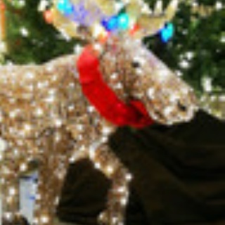 中小企業診断士 鷺山はるこのブログ「Si.Eccolo(スィ，エッコロ)」