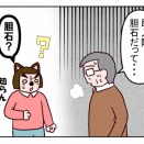 母の体調不良２　胆石
