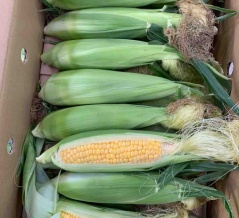 12/6（土）営業します