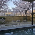 高遠の天下一の桜
