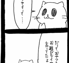 ドワーフキャットタオルちゃん49
