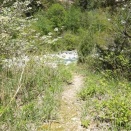深山幽谷の川遊び（左岸前編）
