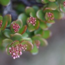 自由を行使し、人生を選択