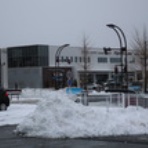 pro shop SCREEN Work Diary