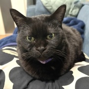 毎日スミちゃんの視線を感じてる