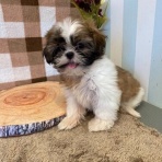 福岡県北九州市 ペットショップワンラブ ペットワイド若松店のスタッフブログ