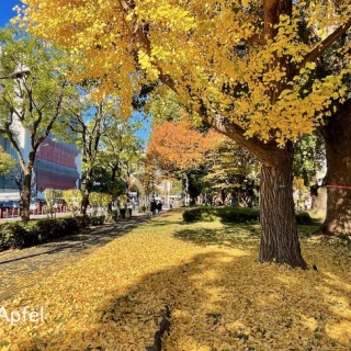スイスの街角から